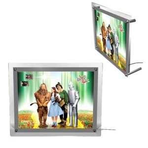 Wizard of Oz Acrylic LightCell Film Cell
