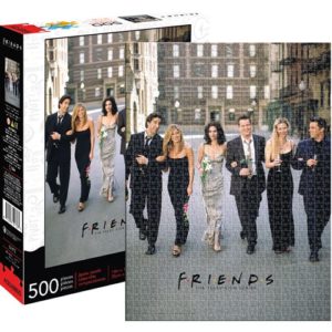 Friends Wedding 500-Piece Puzzle
