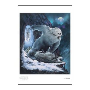 Star Wars Capture Paper Giclee Print