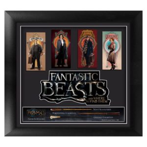 Fantastic Beasts and Where To Find Them Framed Movie Art