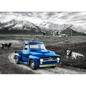 1954 Ford F-100 Heritage Ranch