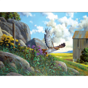 Take Off – Large Piece