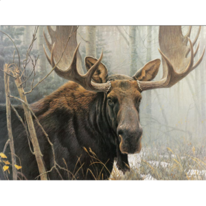 Bull Moose – Large Piece