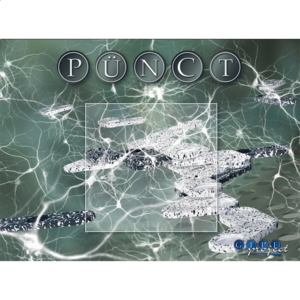 Punct