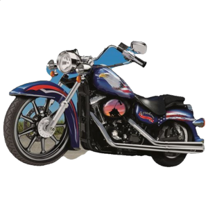 Freedom Cycle – Shaped Puzzle