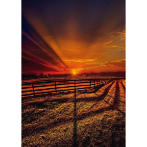 The Evening Stillness