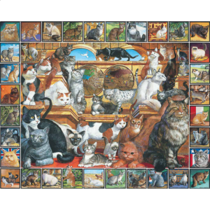 The World of Cats