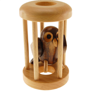 Owl in a Cage
