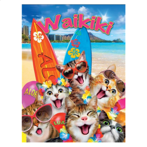 Selfies: Waikiki Selfie