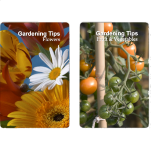 Playing Cards – Gardening Tips
