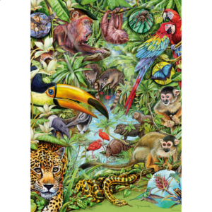 Flora & Fauna: Rainforest