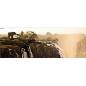 Paul Lamond Von Humboldt Elephant Puzzle (1000 Pieces)