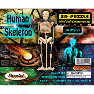 Human Skeleton – 3D Wooden Puzzle