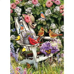 Summer Adirondack Birds