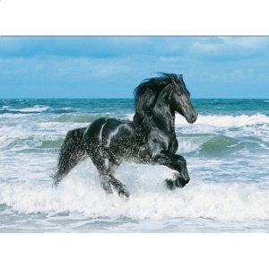 Black Horse