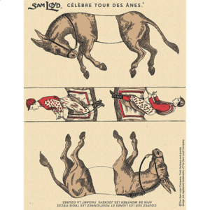 Famous Trick Donkeys – Color – Post Card – French