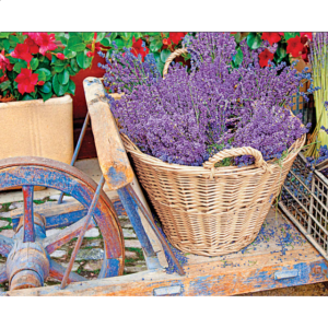 Basket of Lavender