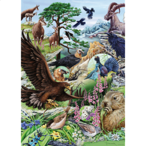 Flora & Fauna: High Mountains