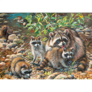 Racoon Family – Family Pieces Puzzle