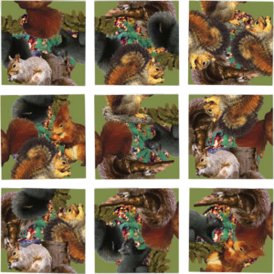 Scramble Squares – Squirrels