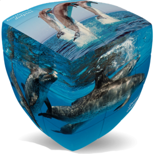 V-CUBE 2 Pillow (2x2x2): Dolphin Cube