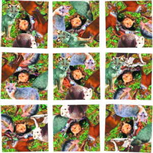 Scramble Squares – Foxes