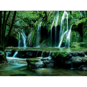 Magic Forests: Cascades