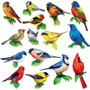 Songbirds II: 15 Mini Shaped Puzzles