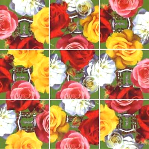 Scramble Squares – Roses
