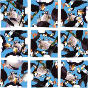 Scramble Squares – Puffins