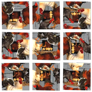 Scramble Squares – Roosters