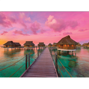 Colorful Paradise
