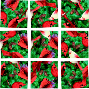 Scramble Squares – Cardinals