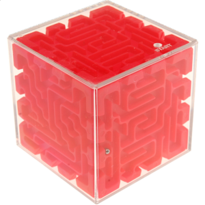 Professor Brain’s: 3 Dimension Maze