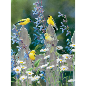 Goldfinch Quartet