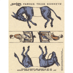 Famous Trick Donkeys – Color – Post Card – English – Blue