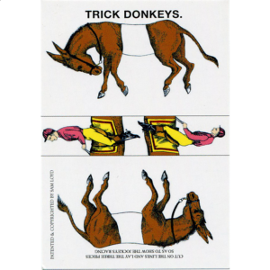 Famous Trick Donkeys – Mini