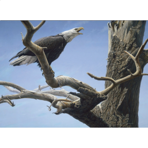 Call of the Wild – Large Piece