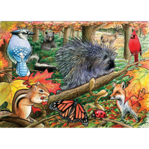 Eastern Woodlands – Tray Puzzle