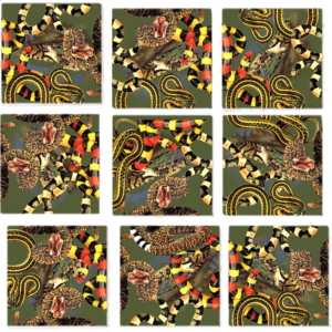 Scramble Squares – Snakes of North America