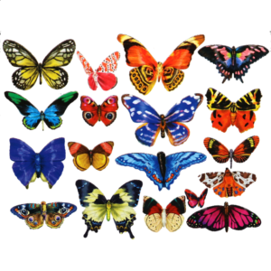 Butterflies III – 18 Mini Shaped Puzzles