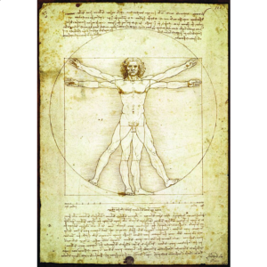 Da Vinci – The Vitruvian Man