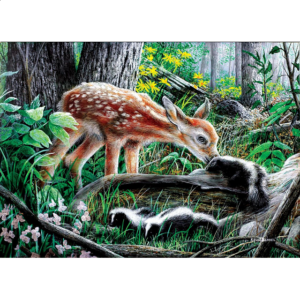 Friends of the Forest