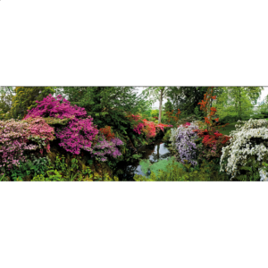 AVH Panorama: Bodnant Garden