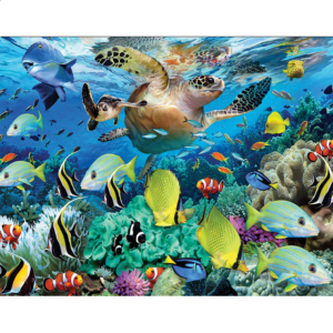 Mini Puzzle – The Journey of the Sea Turtle