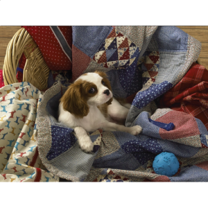 Laundry Day – Large Piece