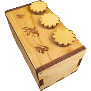 Dragon Secret Lock Box