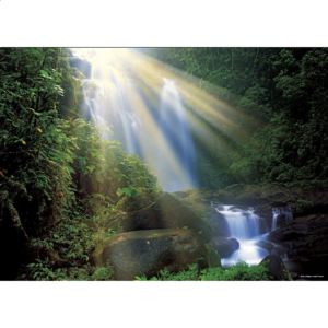 Magic Forests: Waterfall