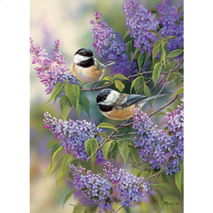 Chickadees and Lilacs