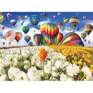 Balloons Galore: Balloon Flower Field